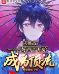 从挑战好声音开始成为顶流小说