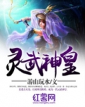灵武神皇 崩坏先生