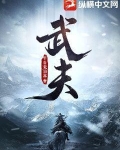 武夫小说笔趣阁免费阅读
