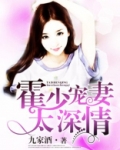 霍少宠妻太深情