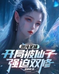 小说第一章混沌圣体降世