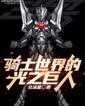 骑士世界的光之巨人作者:北沫星