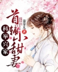科举兴家:首辅小甜妻章节列表