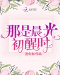 那是晨光初醒时小说免费阅读