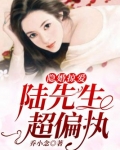 陆先生,隐婚请低调