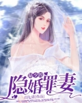 陆少的隐婚罪妻全集免费观看