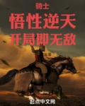 骑士：悟性逆天，开局即无敌！