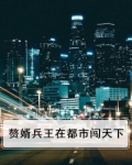 赘婿兵王在都市闯天下