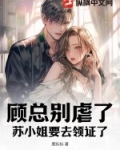 顾总求你别虐