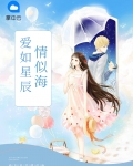 爱你似星辰小说阅读