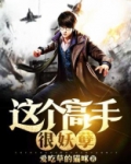 全能佣兵杀手