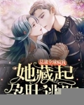 她藏起孕肚逃跑,总裁全球疯找