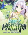 网游之掉级成神 小说