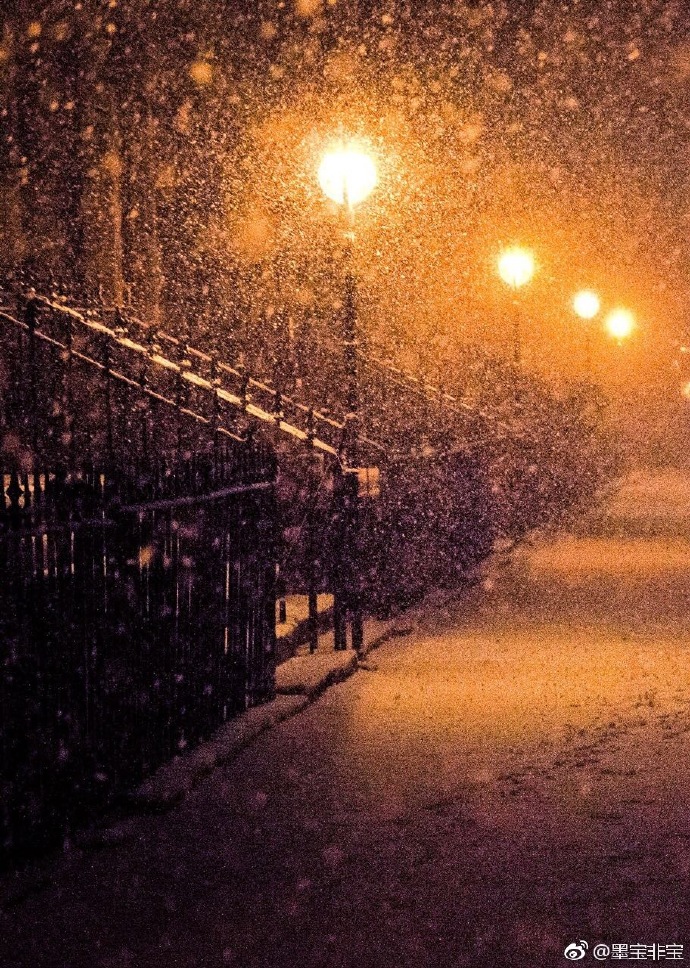 在暴雪时分小说全文免费