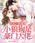 夫人，捡来的小狼狗是豪门大佬