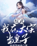 综武：我在大宋当皇子