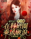 重生后，叶小姐在科研圈乘风破浪
