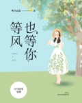 等风也等你