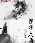 鸿蒙极宇天尊