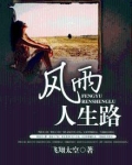 风雨人生路