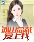 冰山总裁爱上我短剧