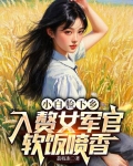 小白脸下乡，入赘女军官软饭喷香