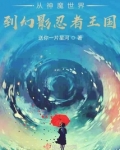乐高幻影忍者：且行且随风
