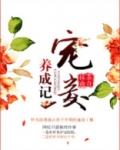 宠妾养成记 小说