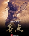 赛点小说