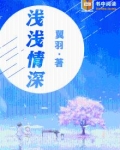 浅浅情深