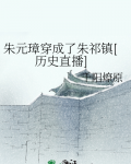 朱元璋穿成了朱祁镇[历史直播]第32章