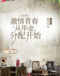 年代：激情青春，从毕业分配开始