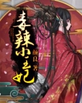 毒辣小王妃免费阅读