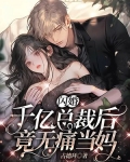 闪婚甜妻,总裁的千亿宠儿