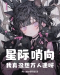 星际哨向类小说