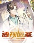 透视医圣TXT下载