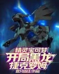 精灵宝可梦：开局黑龙捷克罗姆