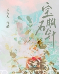 宝石胸针先婚