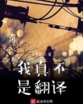 我真不是翻译