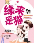 缘来是你百度百科
