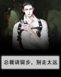 总裁请留步,别走太远