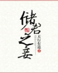 储君之妾讲了什么