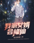 退婚女婿修仙小说