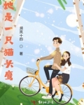 猫头鹰幼崽一只多少元