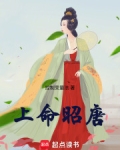 上命昭唐小说免费阅读