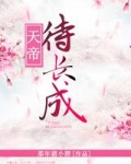 天帝成魔后