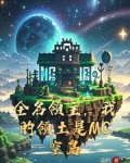 全名领主，我的领土是MC空岛
