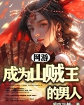 网游之山贼也疯狂 小说