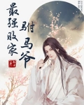 最强败家驸马爷百度百科