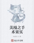 美漫之手术果实TXT下载